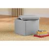Urban Lifestyle Microsuede Storage Ottoman, 15″x15″x15″, Grey(Grey)
